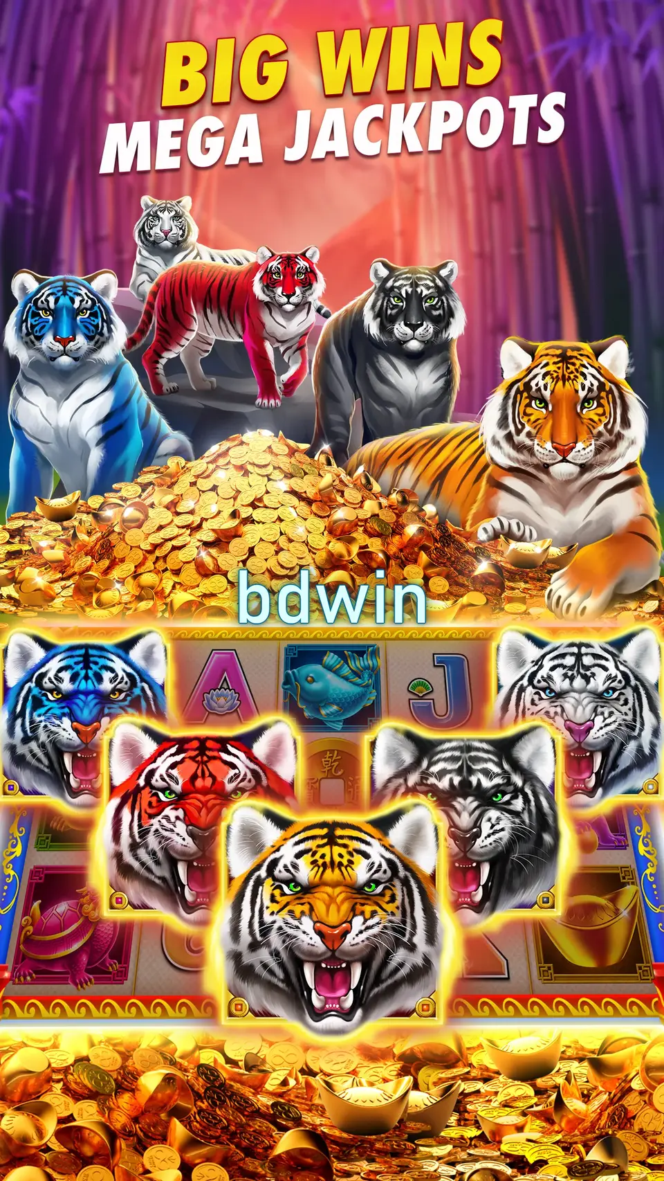 bdwin APK